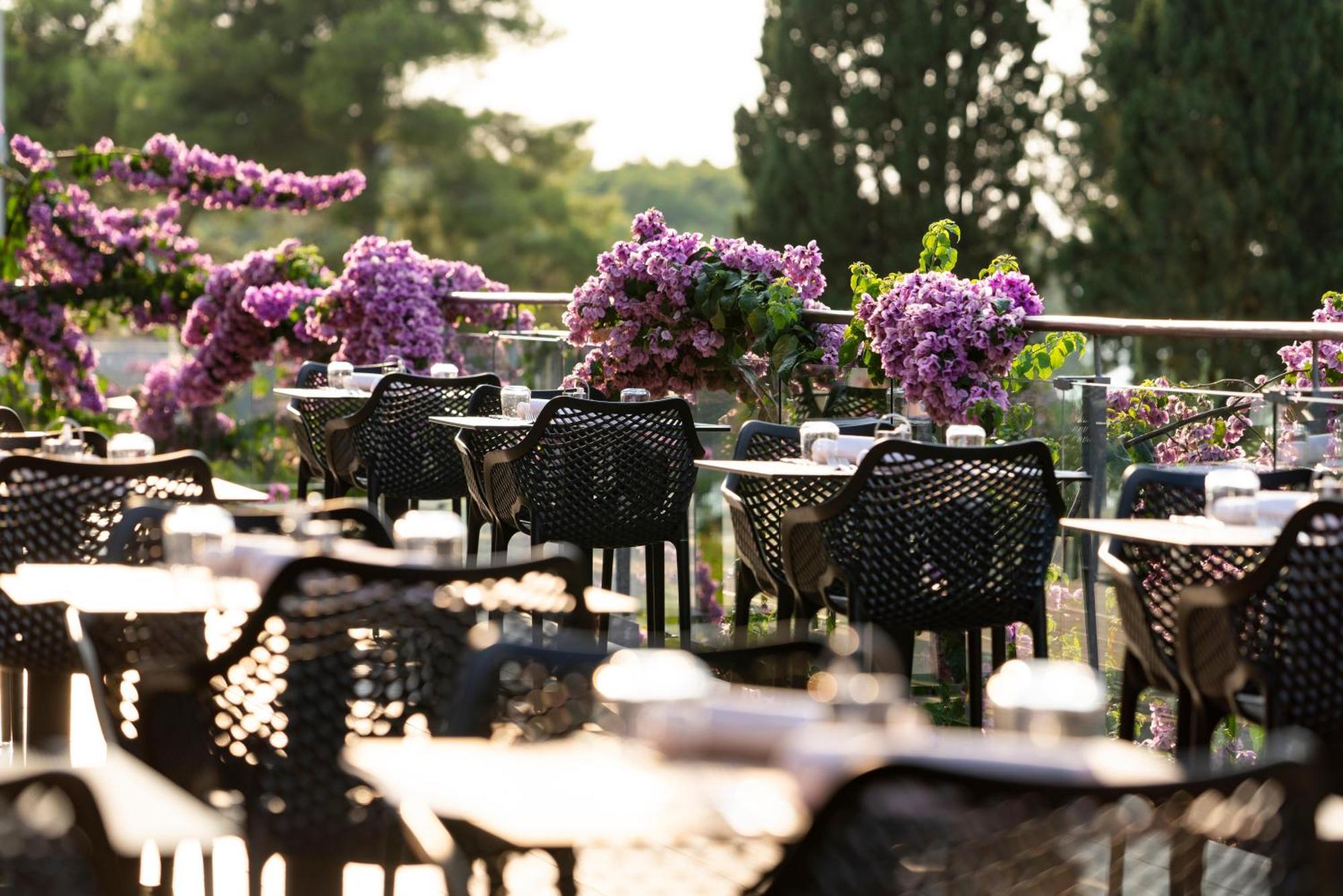 Aminess Vival Velaris Resort 수페타르 외부 사진